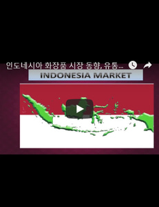 인도네시아 화장품 시장 동향, 유통 플랫폼, 인기 화장품 동향, 마케팅 핵심 전략